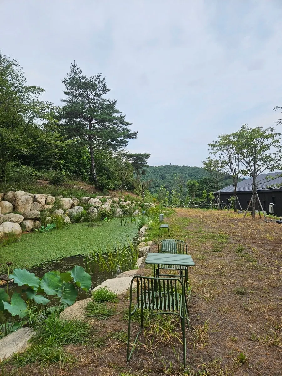 카페 먹 베이커리 진열대와 메뉴
