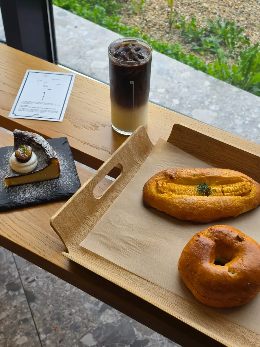 산불을 견딘 카페 먹 느티나무