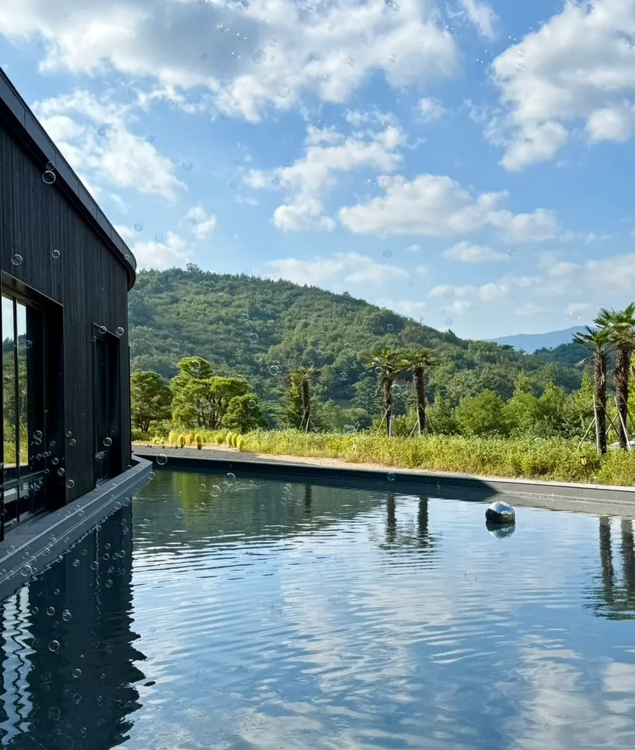 MUG's charred-wood building surrounded by green forest