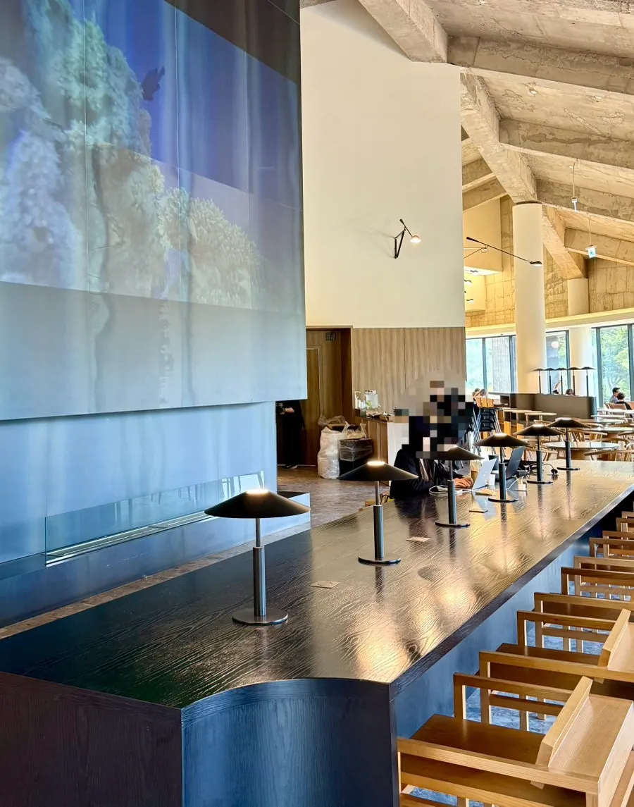 Window seats at MUG with a full glass view of the natural surroundings