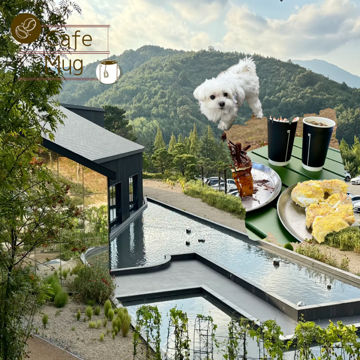 MUG's outdoor yard surrounded by forest