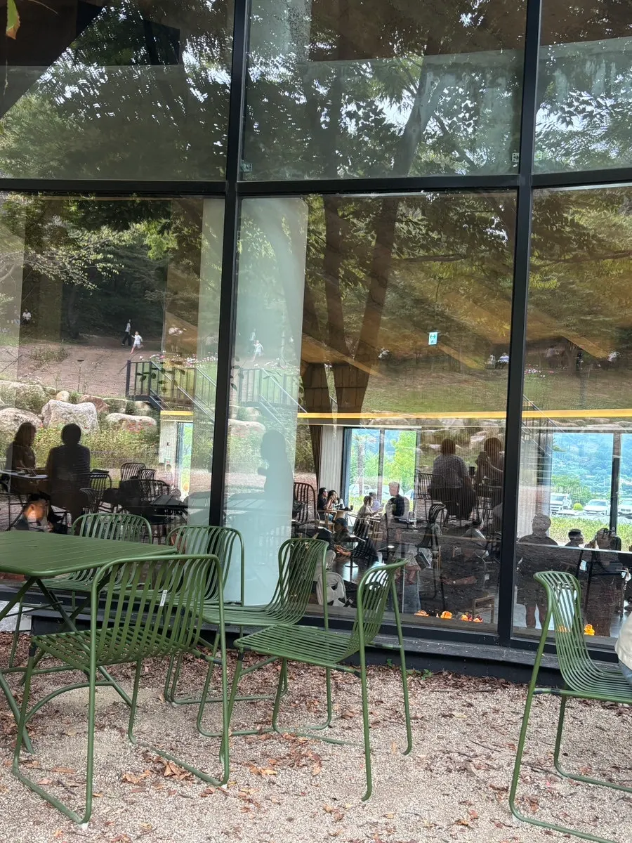 Outdoor view at MUG with trees and forest
