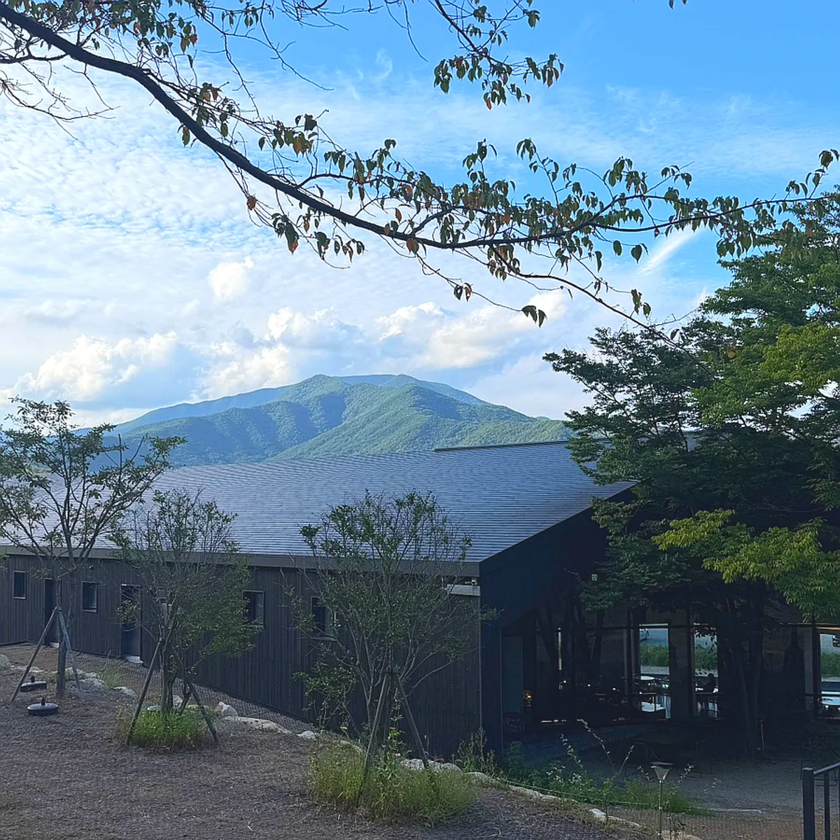 Main image of MUG café in Eonyang, Ulsan
