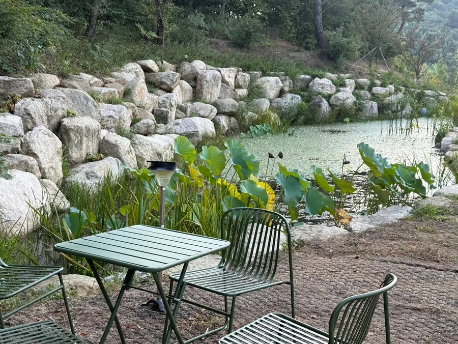 Outdoor seating at MUG facing the forest