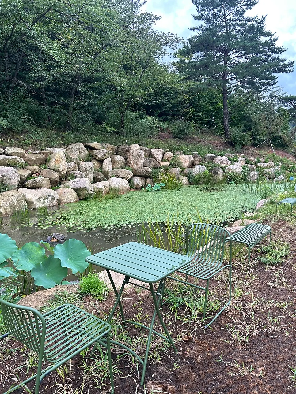 카페 먹 연못 정원 여름 풍경