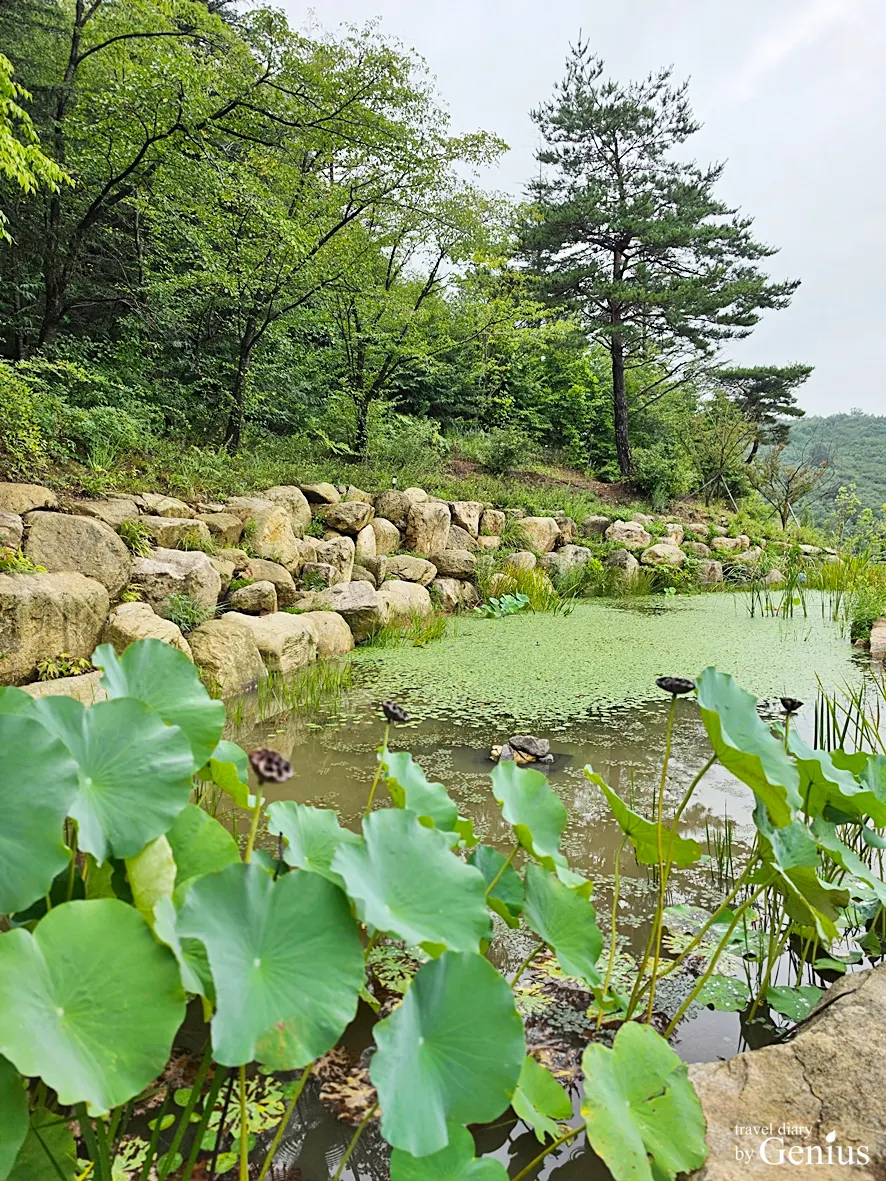 숲으로 이어지는 카페 먹 야외 계단과 산책로