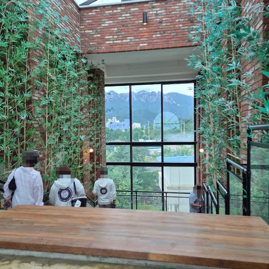 Forest-backdrop photo spot at Cafe Neorae