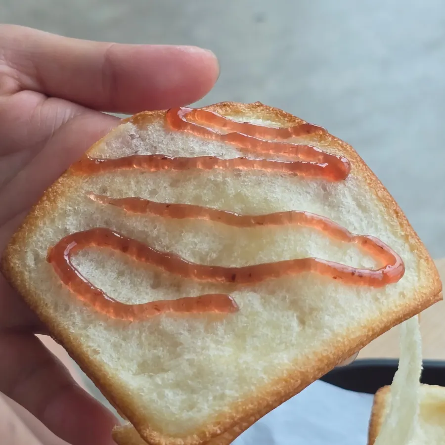 Cross-section of tissue bread torn along its layers