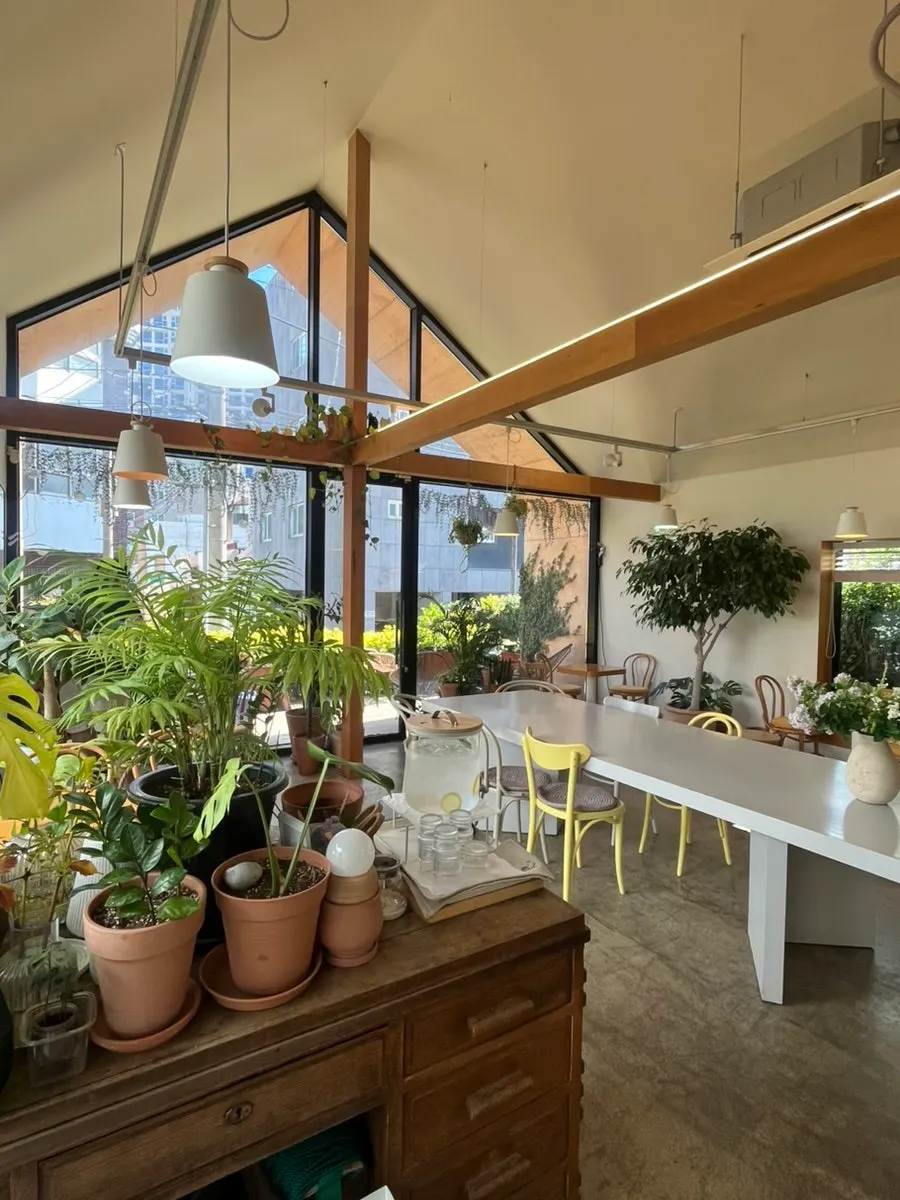 Interior of Café Buajang filled with plants