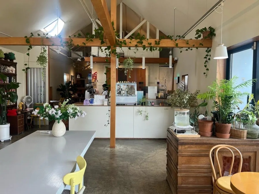 Café seating among green plants