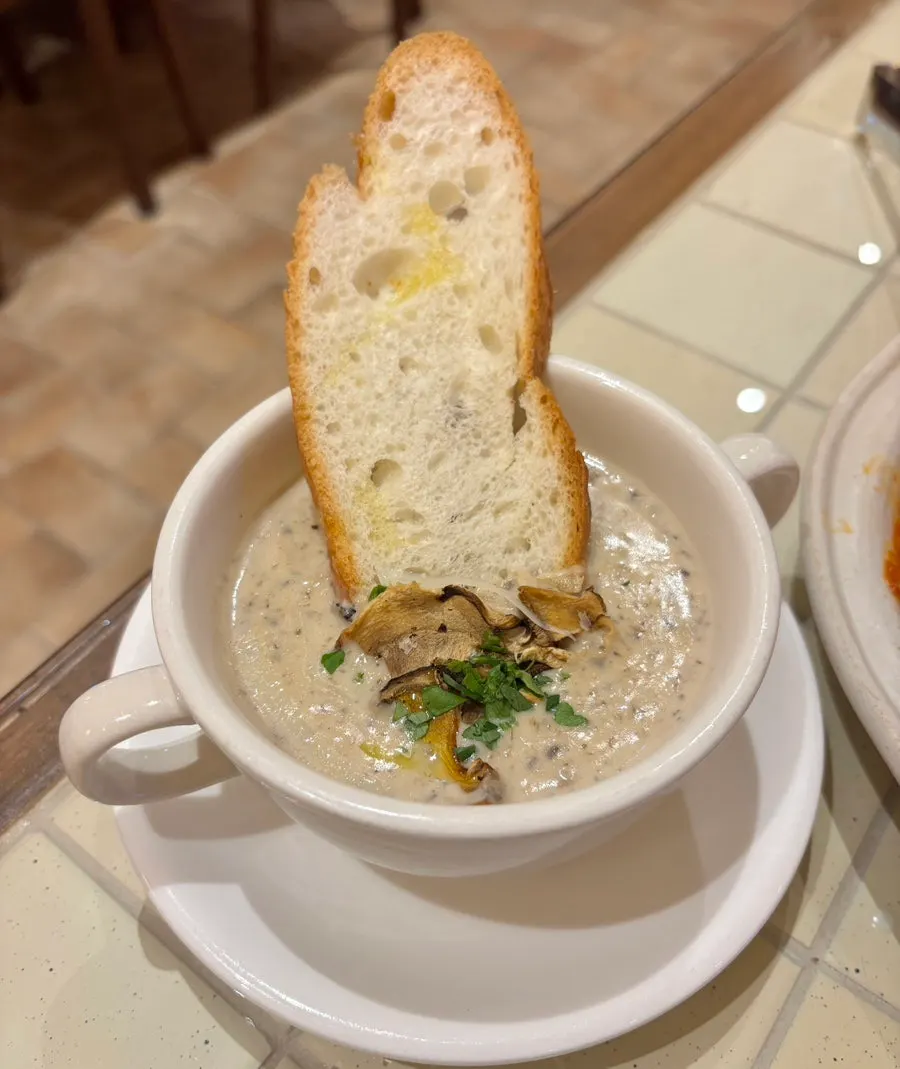 Camel Orzo's truffle mushroom soup