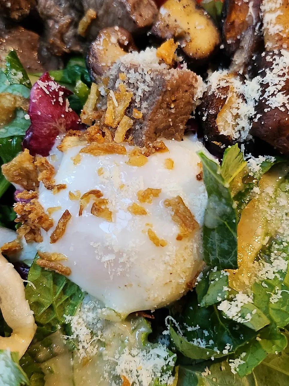Cross-section of beef mushroom salad over arugula