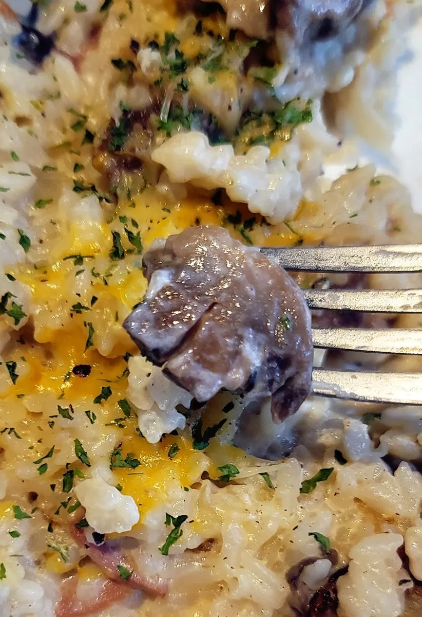 크리미한 리조또 밥알 근접 사진