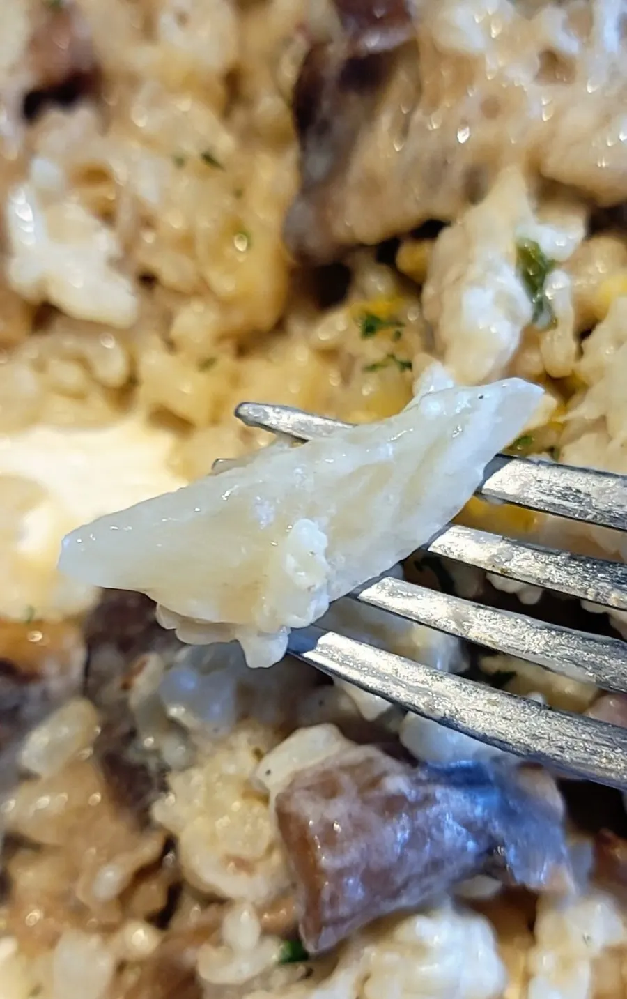 숟가락으로 떠올린 불고기리조또