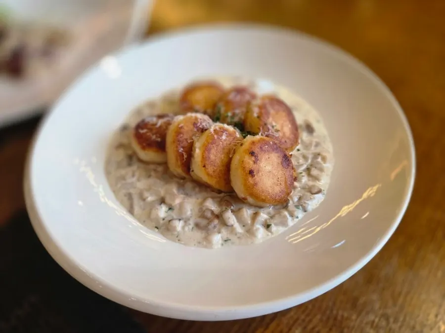 Close-up of gnocchi with mushroom cream sauce