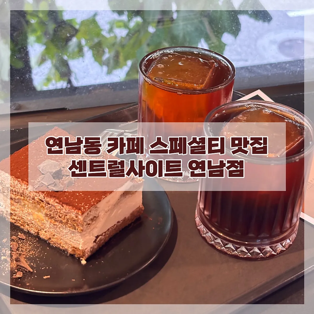 센트럴사이트 연남점 드립커피와 티라미수
