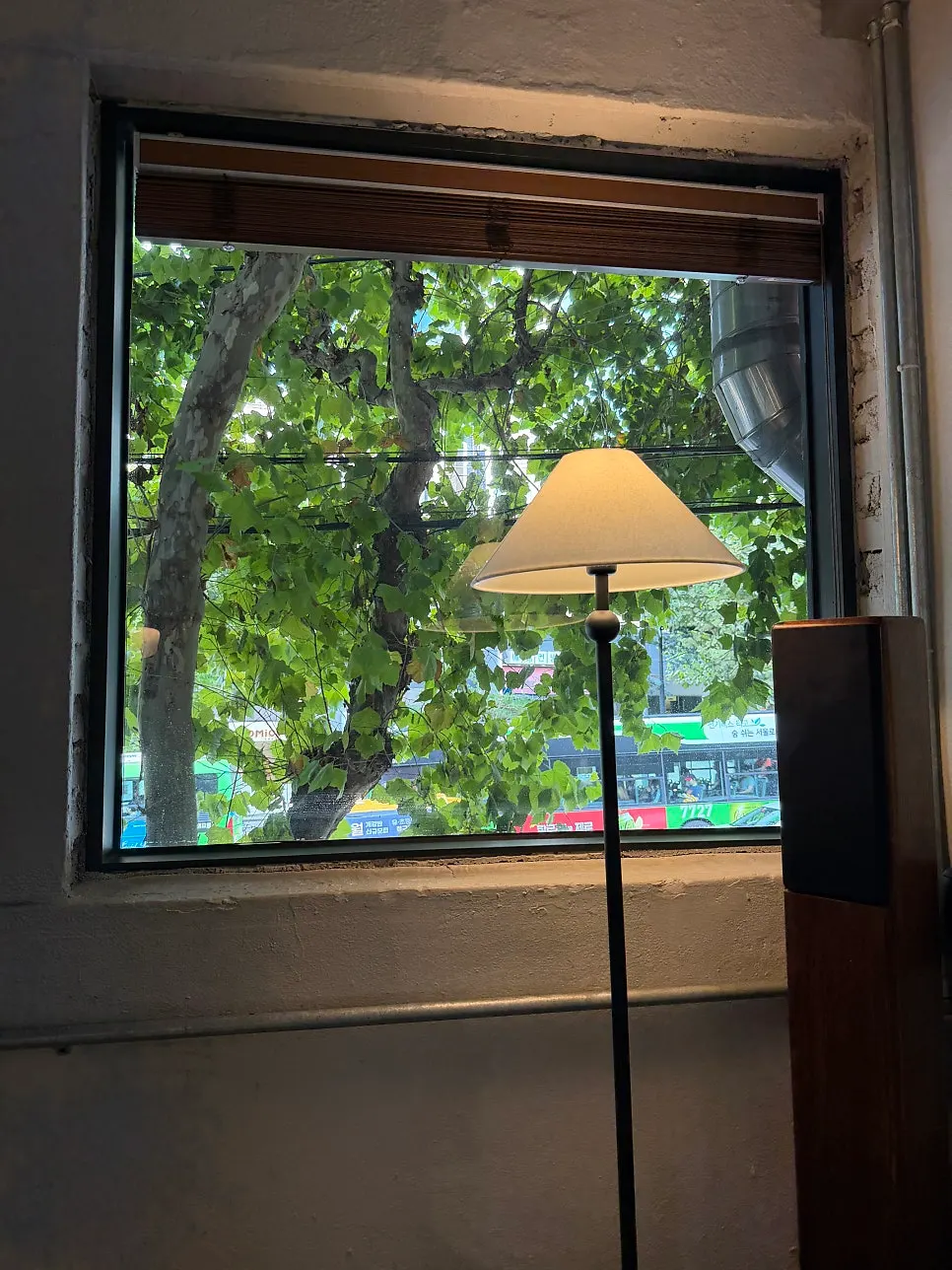 Green scenery through the stairwell window on the way to the second floor