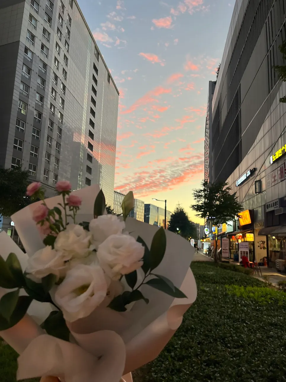 Sunset sky between buildings with a bouquet of gifted flowers