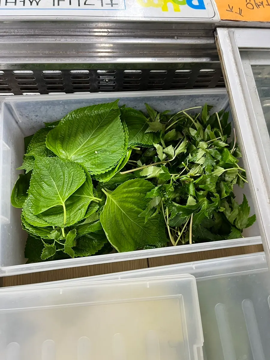 A plate of wrap vegetables gathered by hand