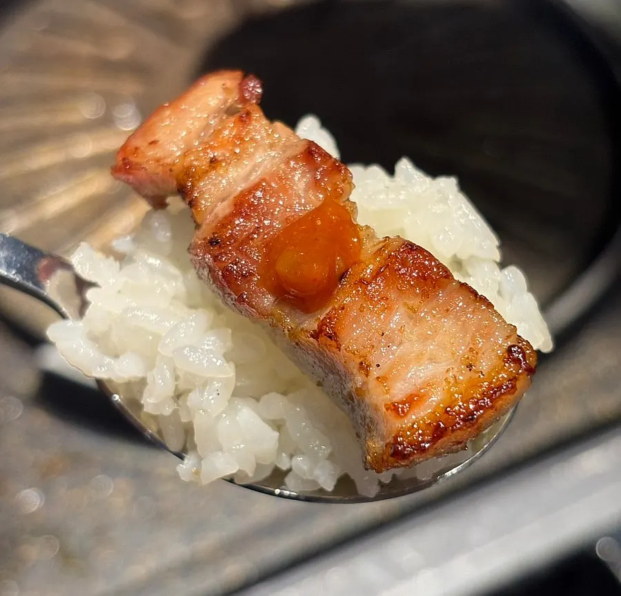 Glossy rice served alongside pork belly