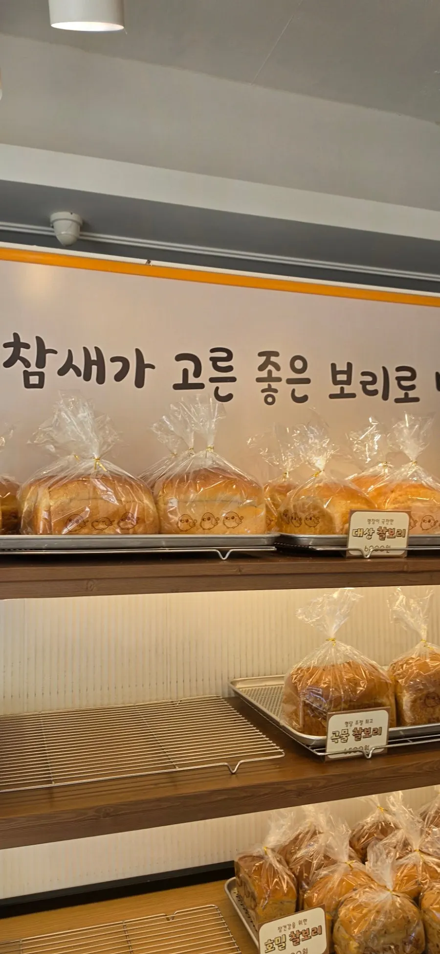 담백한 보리식빵 단면