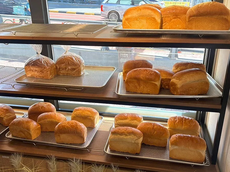 SBS Life of Masters grand prize certificate for bread on display