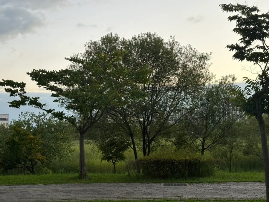 Outdoor table seating at sunset