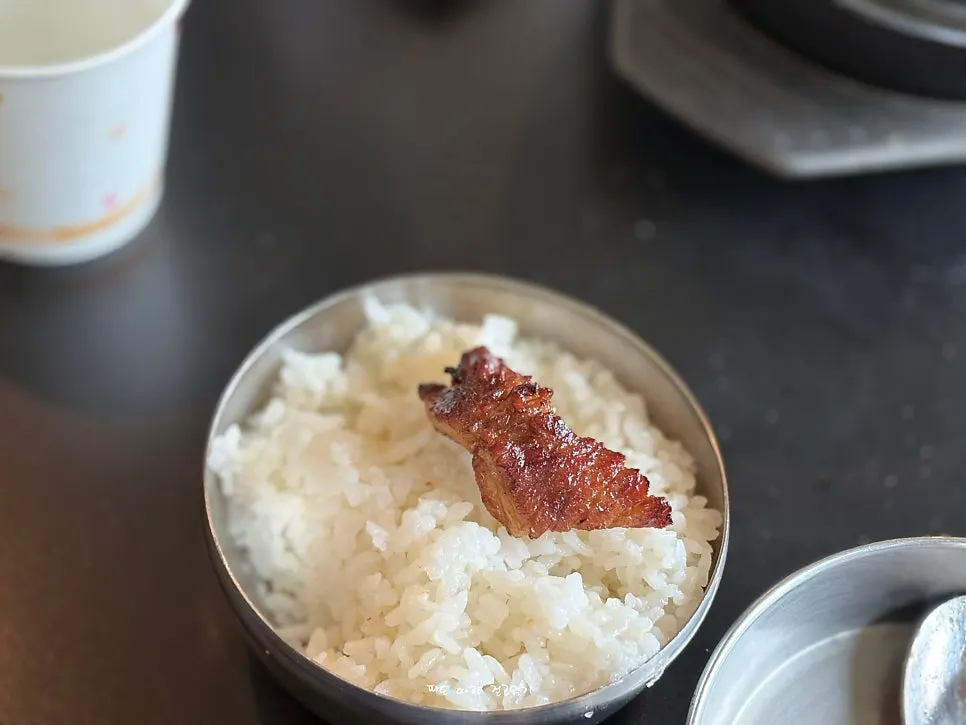 A piece of pork rib placed over white rice
