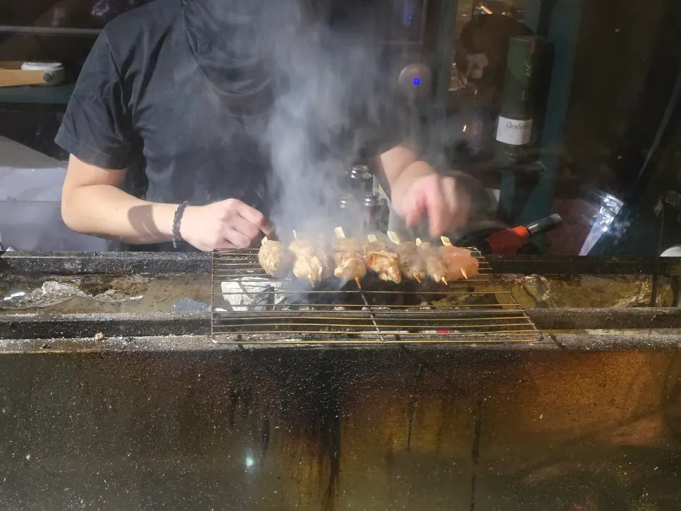 비장탄 숯불 가까이에서 본 꼬치구이