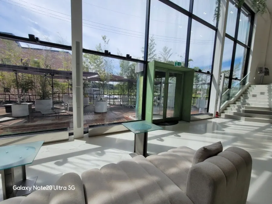 Floor-to-ceiling windows and plant interior on Chat Baker's first floor