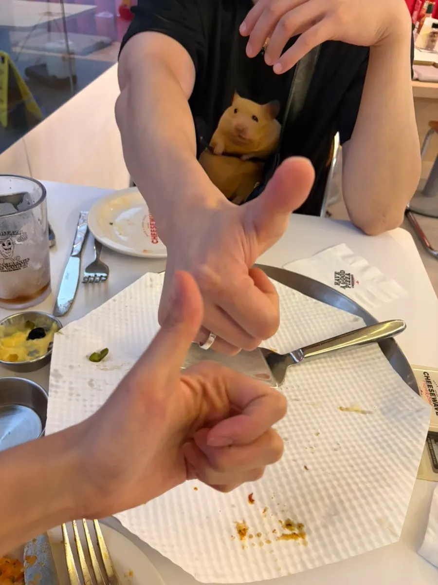 Empty plate with a hamster T-shirt in view