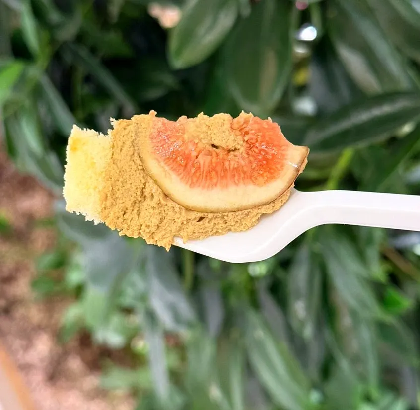 Pistachio cream turned thick after chilling in the fridge