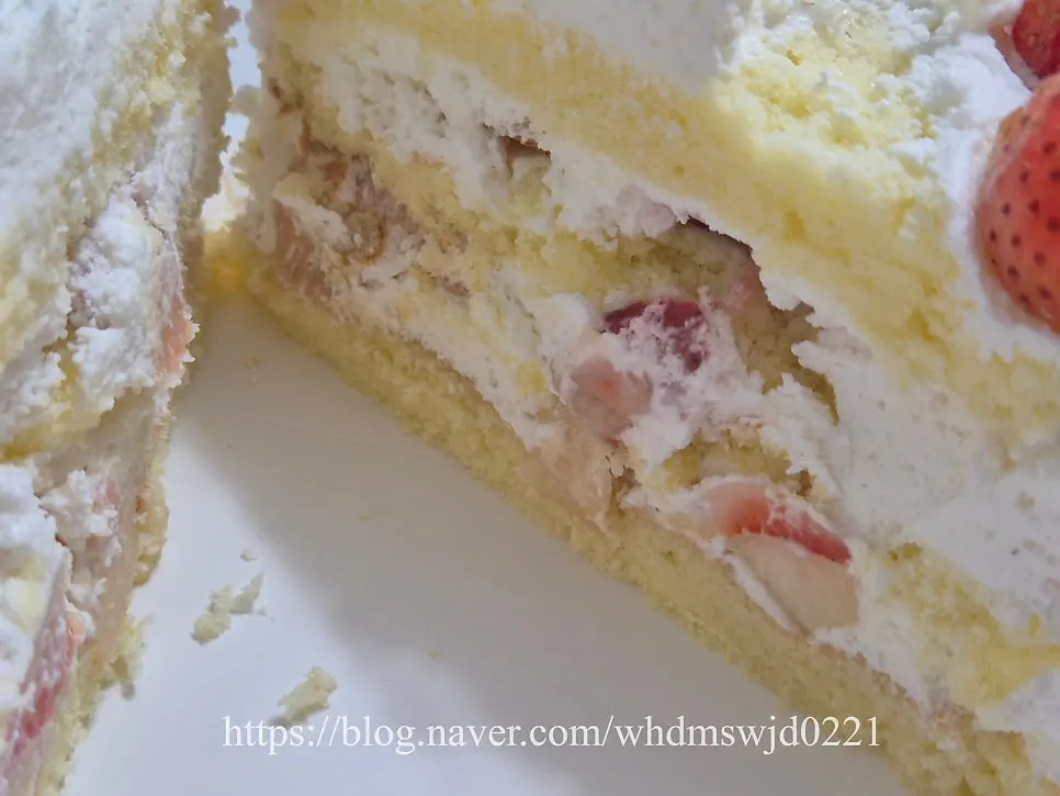 Close-up of a cake slice showing the soft cream and sponge
