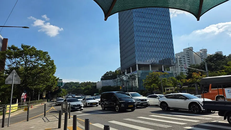 쉐프조 쇼케이스에 진열된 과일 케이크