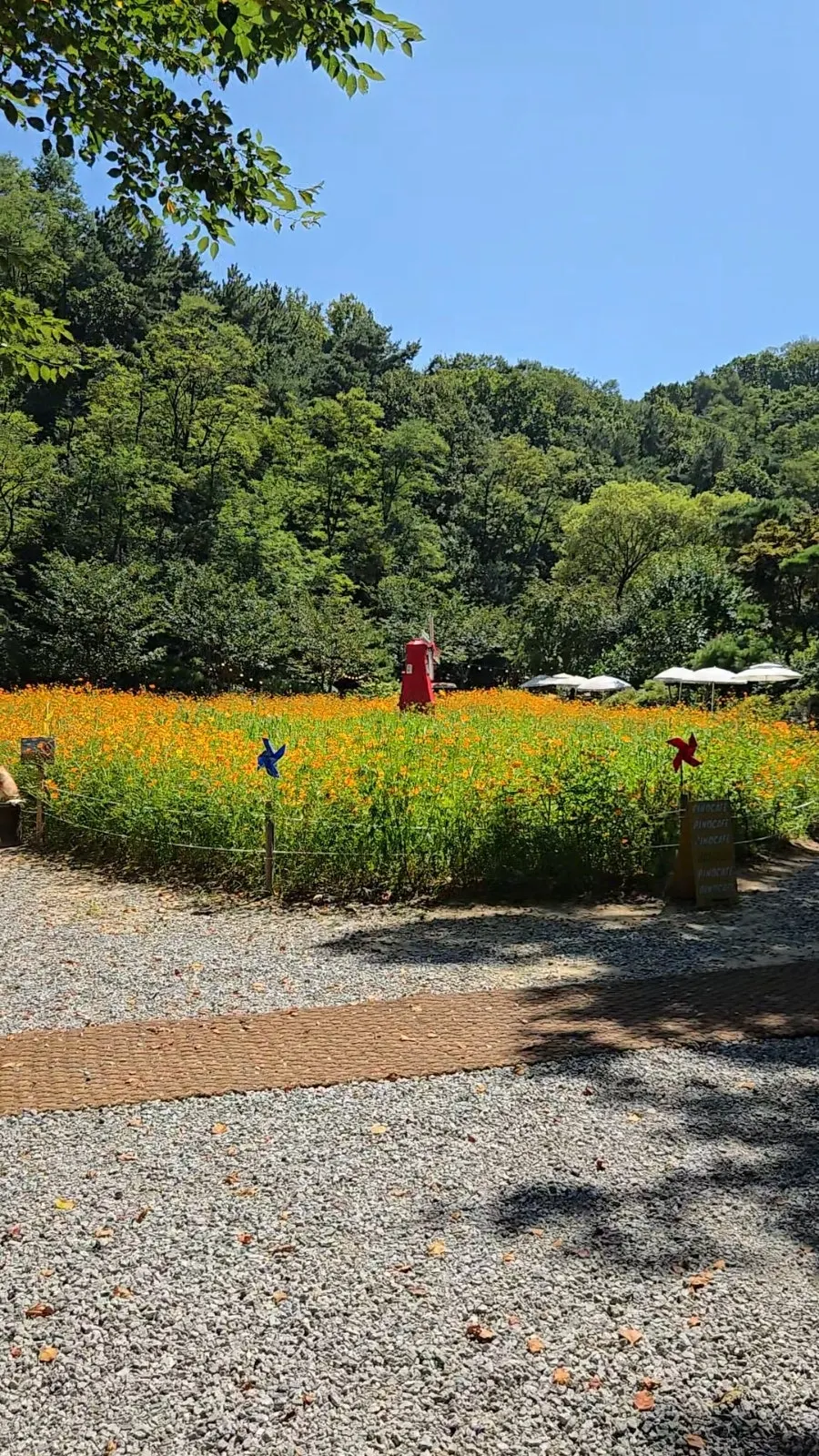 Garden photo spot