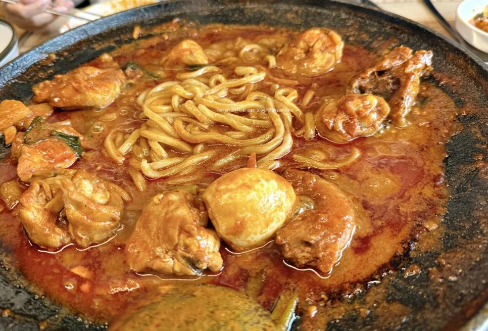 A full meal of udon noodles and dakdoritang