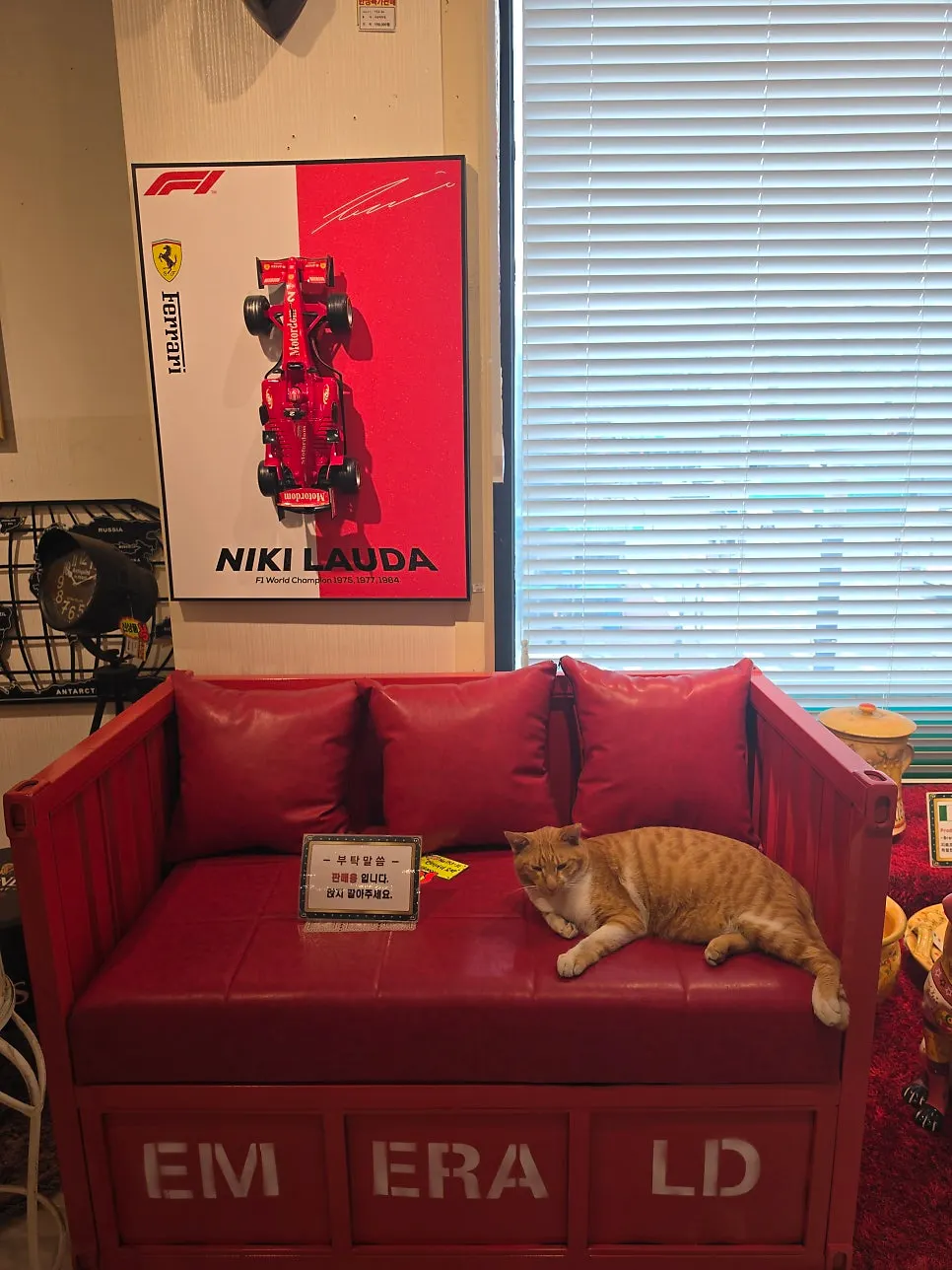 The gallery cat near the second-floor stairs