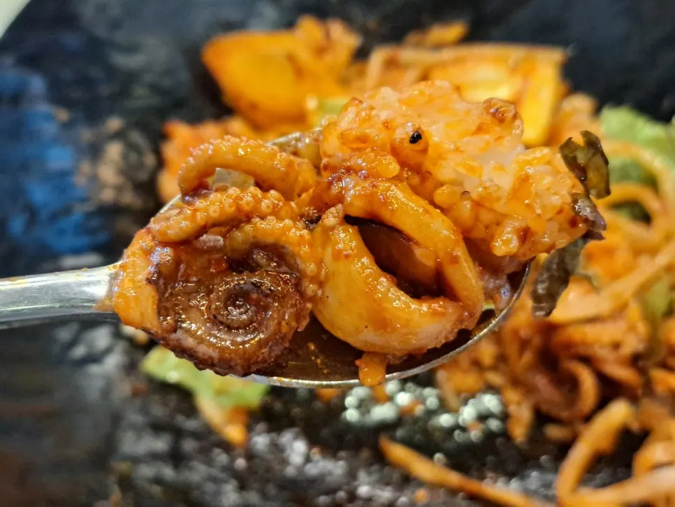 Bibimbap mixed with jjukkumi and vegetables
