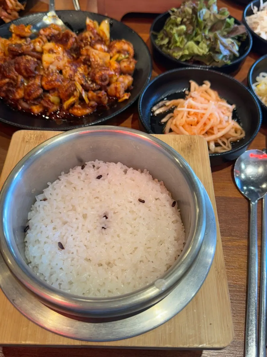 Freshly made glossy pot rice