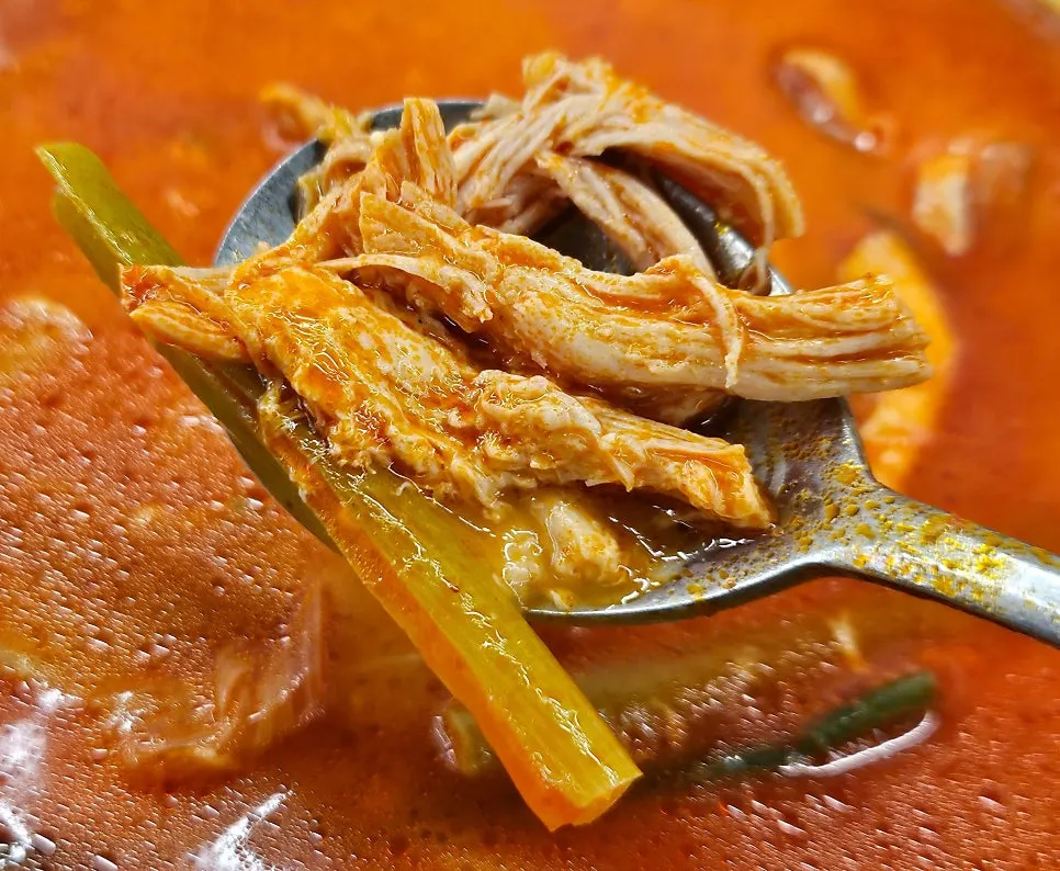 Close-up of the ingredients in the yangji seolleongtang