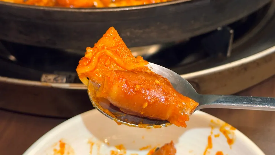 Stretchy melted mozzarella cheese with dakgalbi