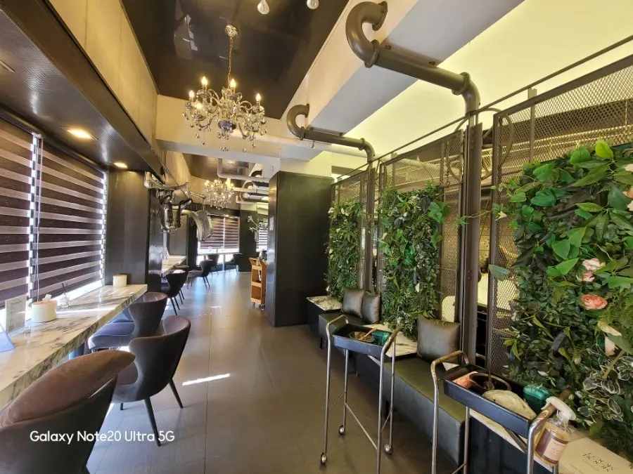 Interior decorated with green plants and lighting