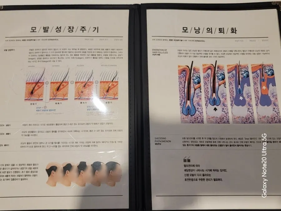 Consultation booklet showing the hair growth cycle graph