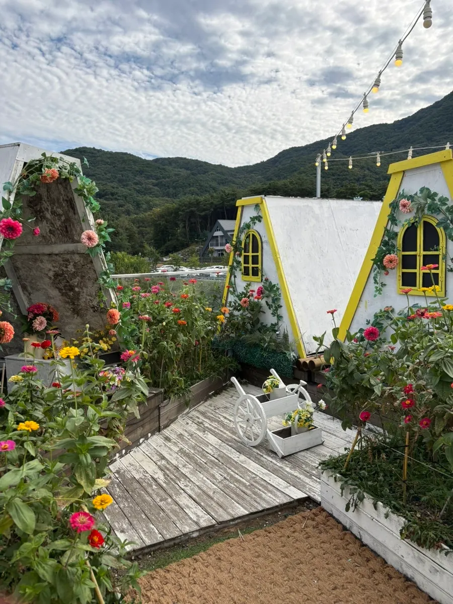 치킨스테이크 로제리조또