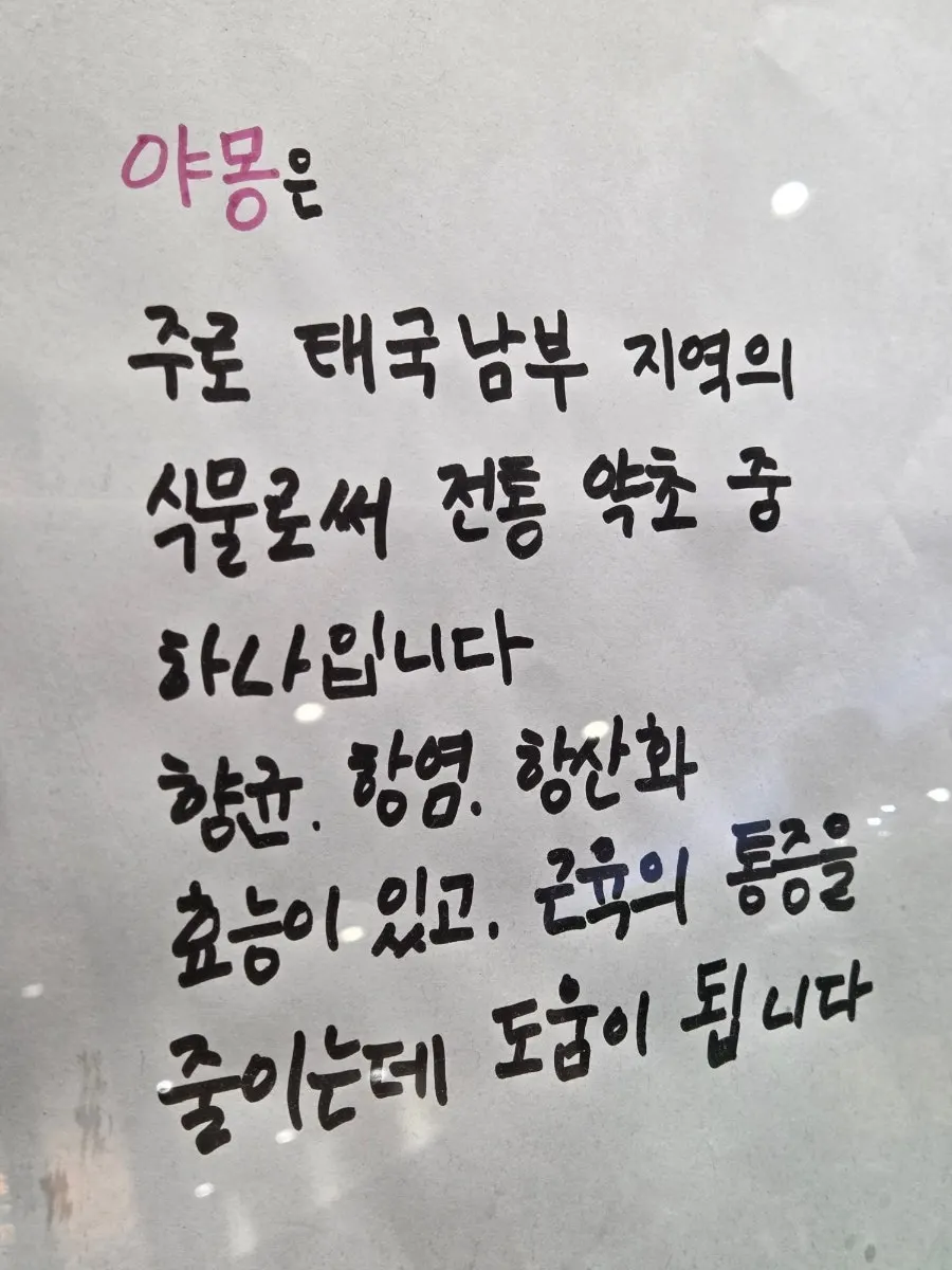 야몽 크림 설명이 적힌 매장 안내문