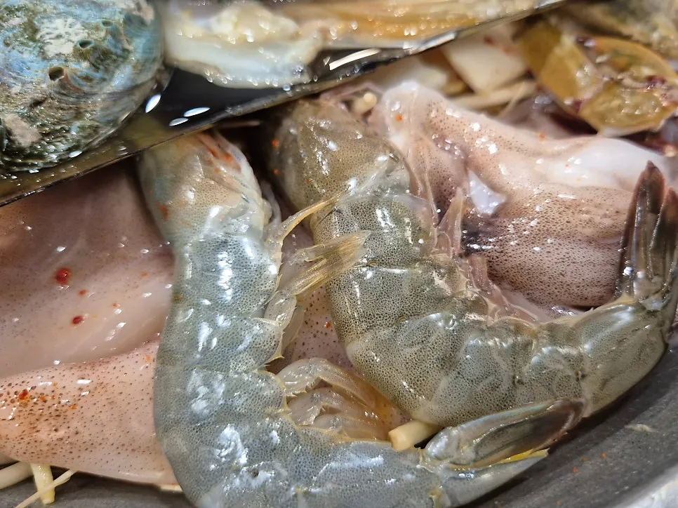 붉은빛이 선명한 참치회