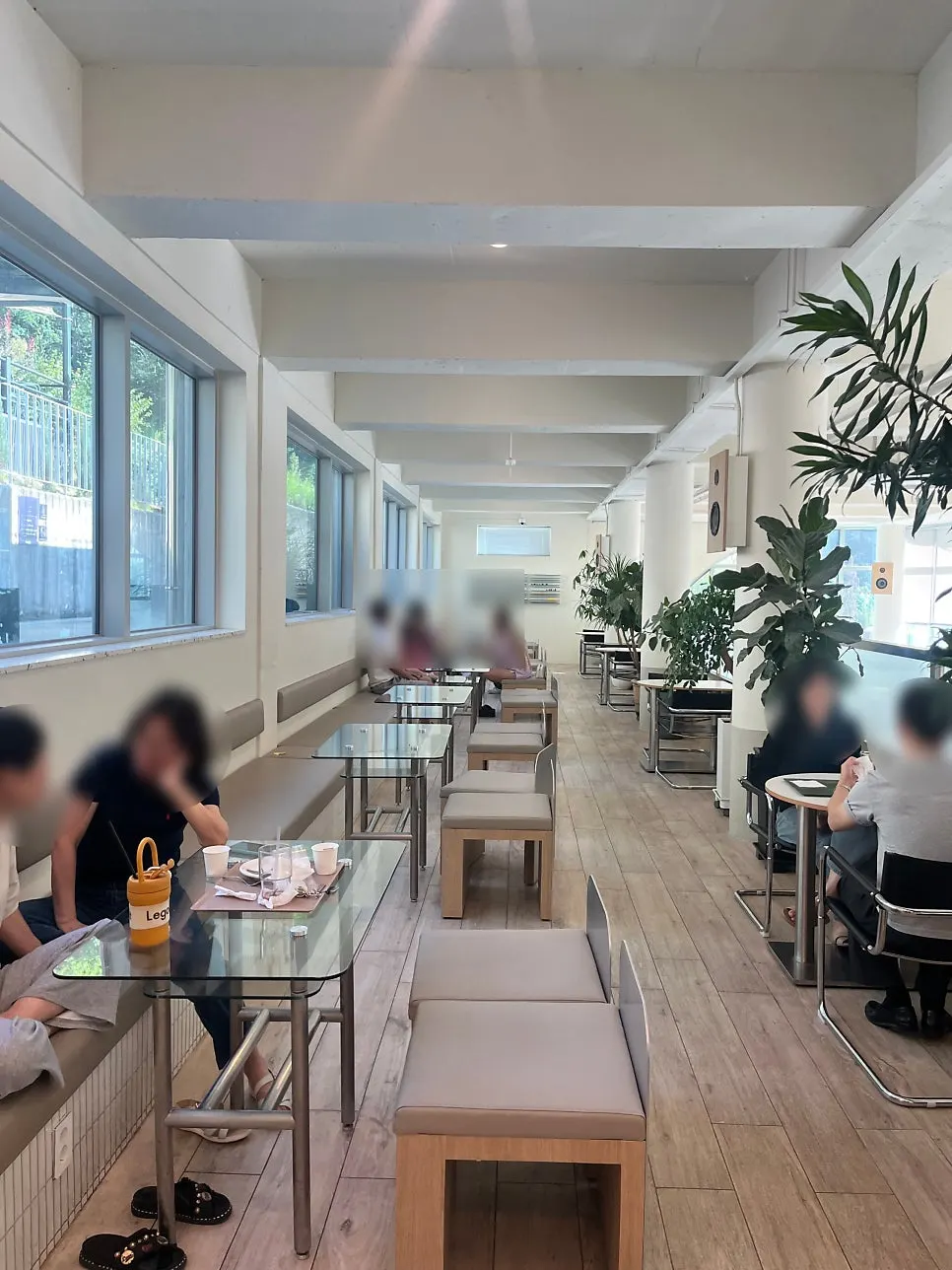 Café entrance with a pool and potted plants