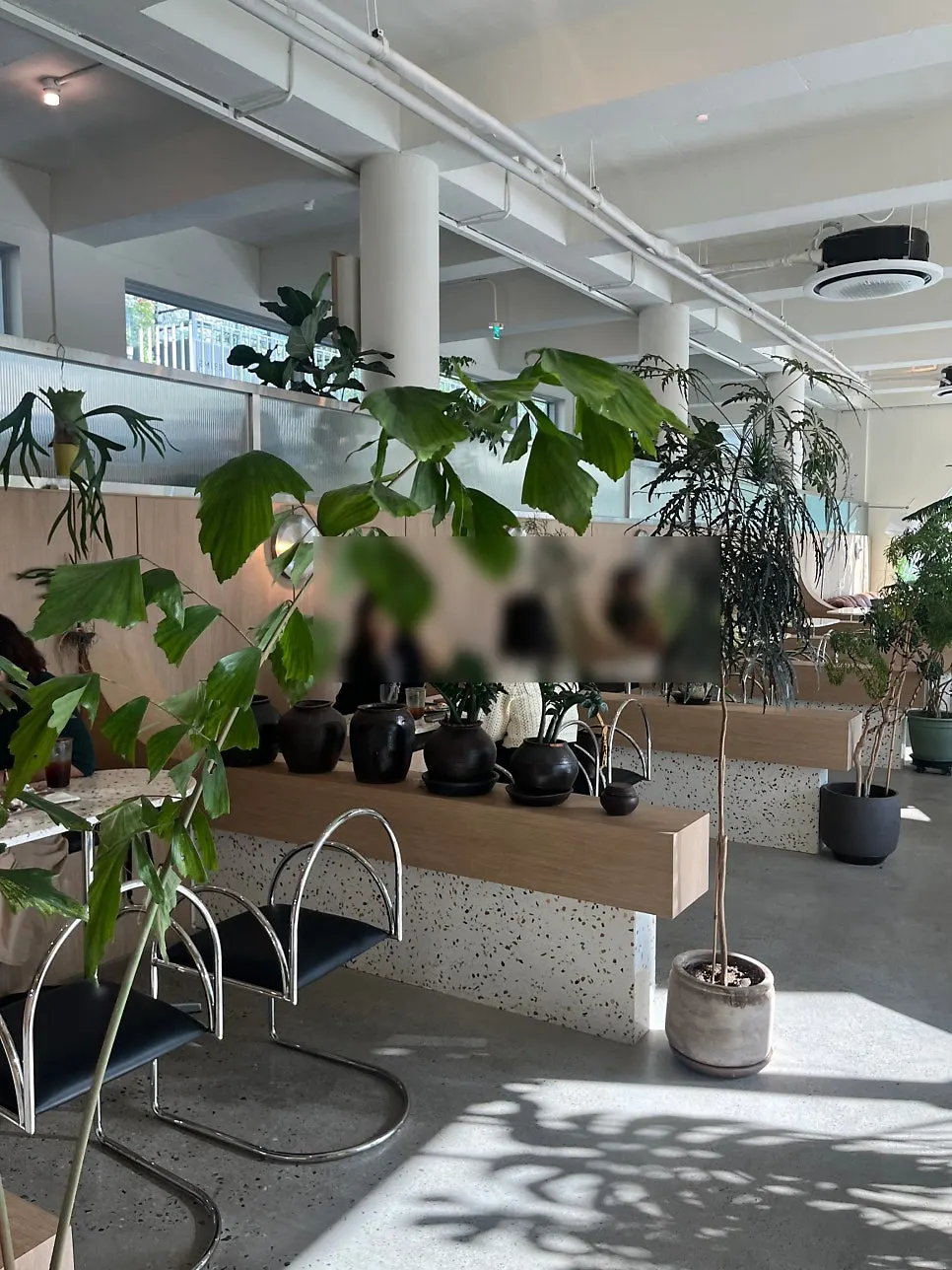 Geurimseu Cafe entrance with potted plants