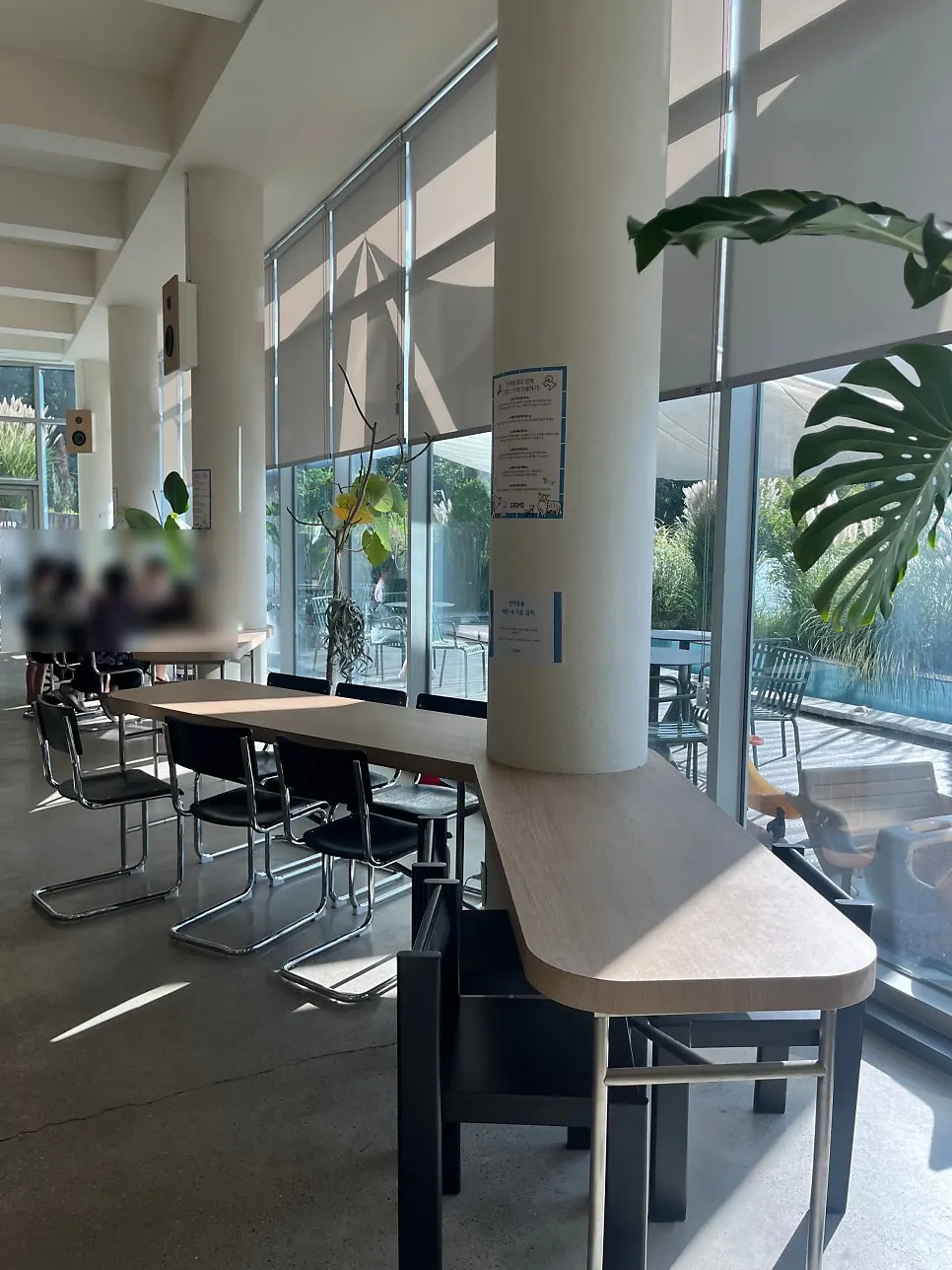 Scenery around the Geurimseu Cafe entrance