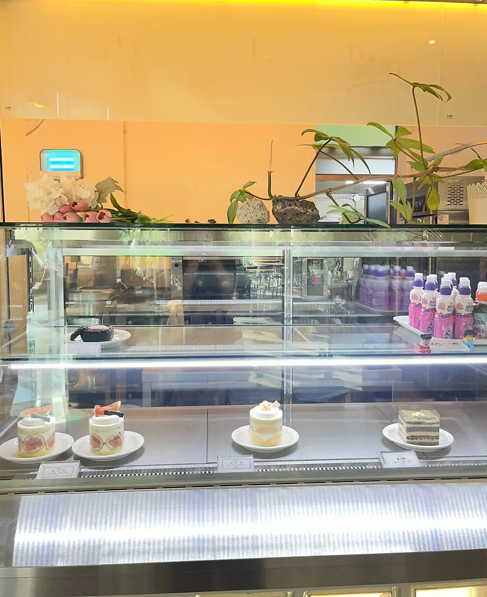 Display area with vegan dog cookies
